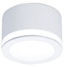 Накладной светильник Ambrella Light TN265 TN