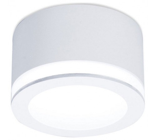 Накладной светильник Ambrella Light TN265 TN