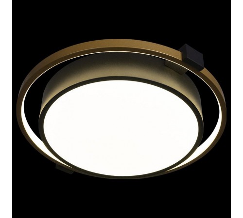 Накладной светильник Loft it 10169 Mike