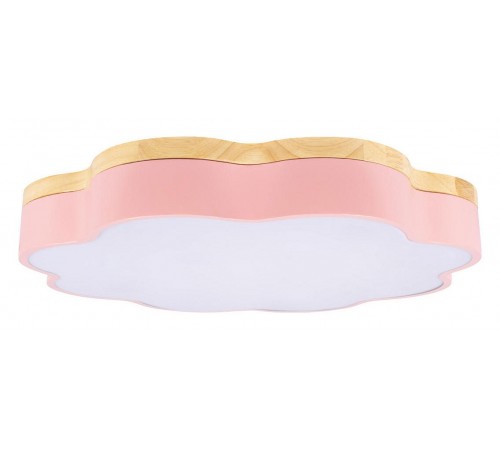 Накладной светильник Loft it 10225/36 Pink Axel