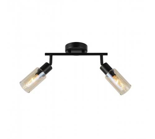 Спот Escada 10172/2A Amber Sector