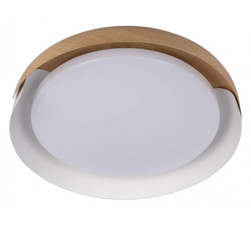 Накладной светильник Loft it 10198 White Coin