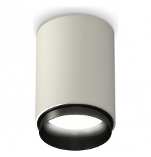 Накладной светильник Ambrella Light XS6314021 XS