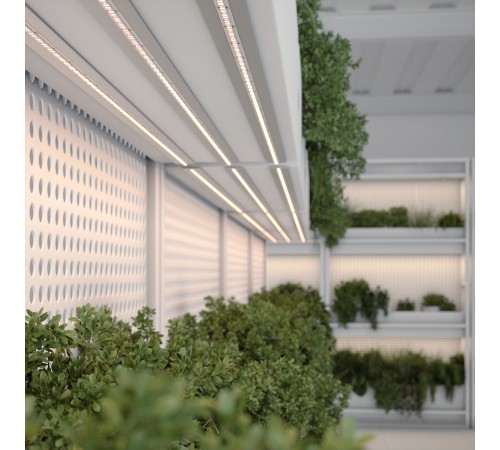 Лента светодиодная Arlight 038170 FITOLUX