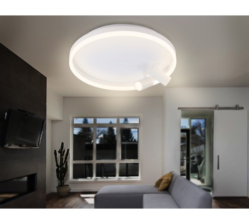 Накладной светильник Ambrella Light FL5112 FL