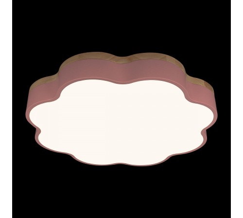 Накладной светильник Loft it 10225/36 Pink Axel