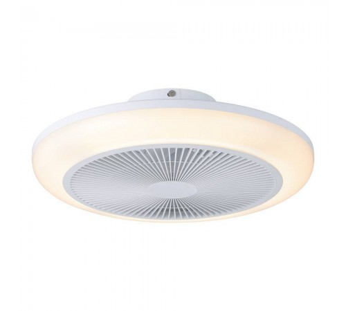 Светильник с вентилятором Eglo 35215 SAYULITA 1