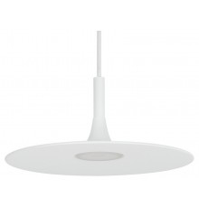 Подвесной светильник Arlight 035953 FIORE