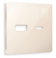 Накладка для розетки type A и C Ambrella Volt AP3110 Quant