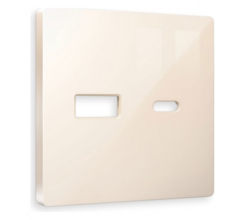 Накладка для розетки type A и C Ambrella Volt AP3110 Quant