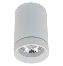 Накладной светильник Aployt APL.0054.09.10 Edda