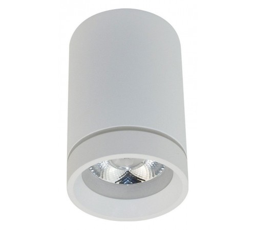 Накладной светильник Aployt APL.0054.09.10 Edda