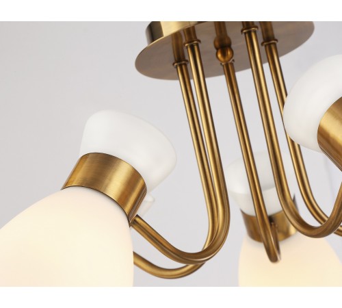 Потолочная люстра Ambrella Light TR3218 TR