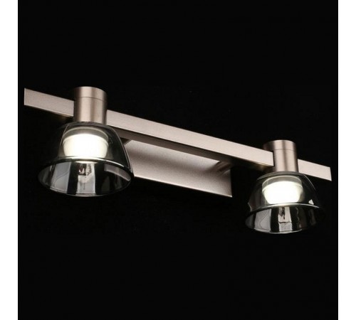 Бра Aployt APL.788.01.02 Rezeda