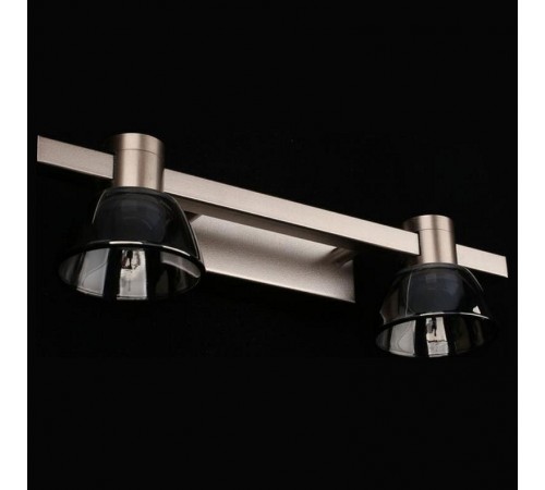 Бра Aployt APL.788.01.02 Rezeda