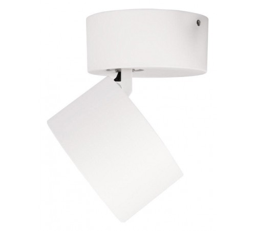 Спот Loft it 10323/A White Focus