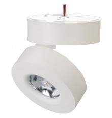 Светильник на штанге Arlight 025440(1) MONA