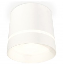 Накладной светильник Ambrella Light XS8110006 XS