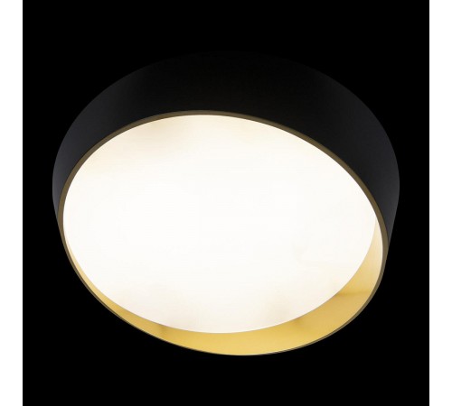 Накладной светильник Loft it 10199 Black Coin