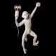 Бра Loft it 10314W/A Monkey