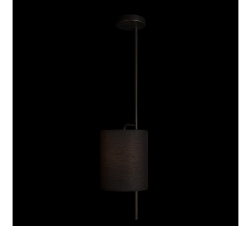 Светильник на штанге Loft it 10253P Black Ritz