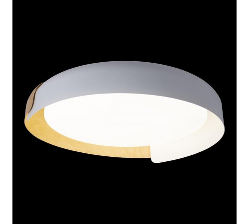 Накладной светильник Loft it 10198 White Coin