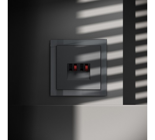 Розетка акустическая без рамки Voltum VLS060307 S70