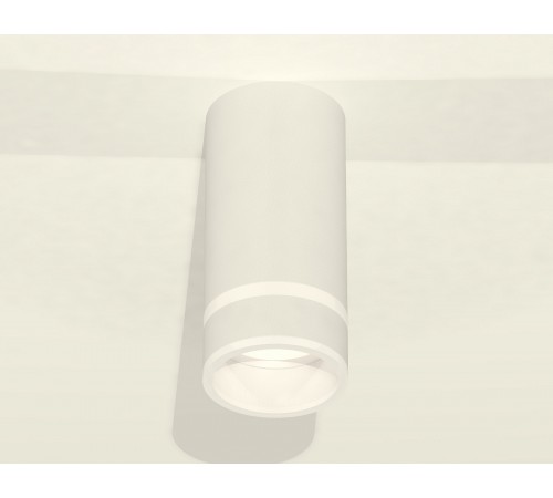 Накладной светильник Ambrella Light XS8161005 XS