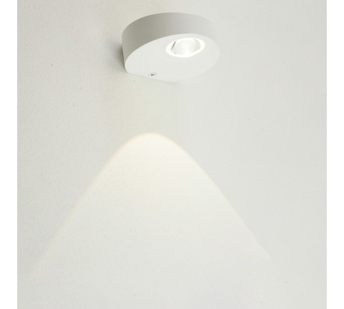 Накладной светильник Feron 51139 AL53