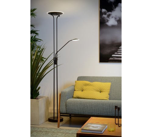 Торшер с подсветкой Lucide 19792/24/30 Champion-Led