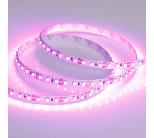 Лента светодиодная Arlight 015897(2) RT открытая