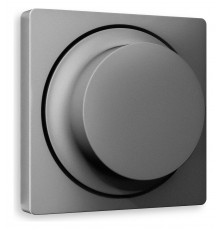 Накладка для диммера Ambrella Volt AP6555 Quant