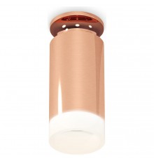 Накладной светильник Ambrella Light XS6326082 XS