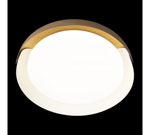 Накладной светильник Loft it 10198 White Coin