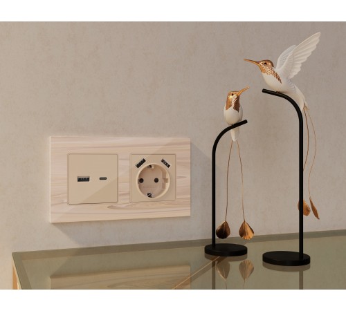 Розетка 2хUSB type A и C без рамки Ambrella Volt MA311010 Quant