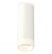 Накладной светильник Ambrella Light XS6342043 XS