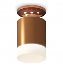 Накладной светильник Ambrella Light XS6304153 XS