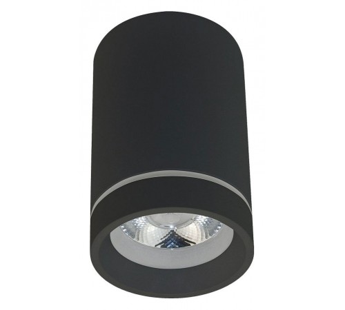 Накладной светильник Aployt APL.0054.19.10 Edda