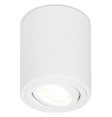 Накладной светильник Ambrella Light TN225 TN