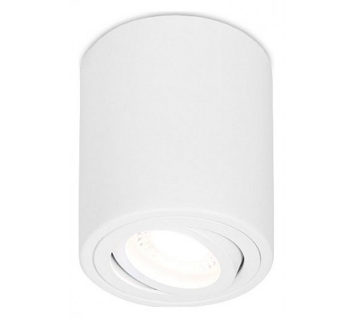 Накладной светильник Ambrella Light TN225 TN