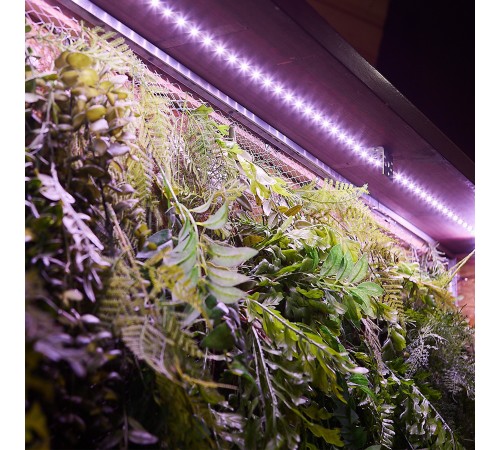 Комплект с лентой светодиодной для растений Uniel UL-00008924 ULS