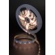 Лента светодиодная SWG SWG31560-12-4.8-WW SWG31560