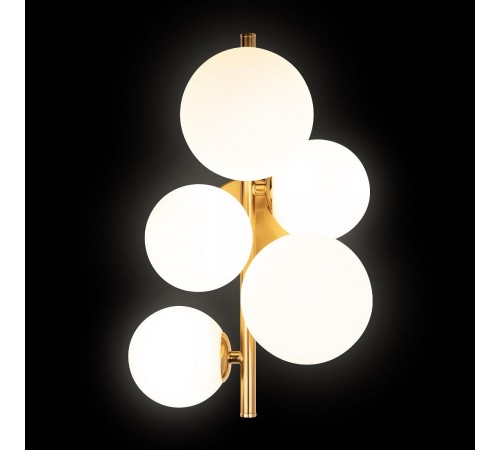 Бра Loft it 10236/5W Tely