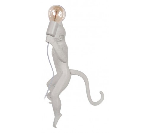 Бра Loft it 10314W/B Monkey