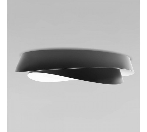 Накладной светильник Loft it 10256 Black Petale