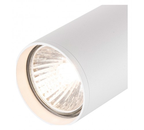 Светильник на штанге Escada 20001TRA/01 SWH 20001