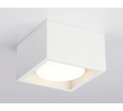 Накладной светильник Ambrella Light TN70825 TN