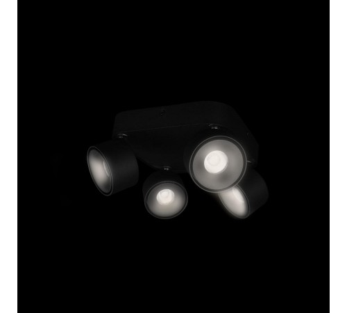 Спот Loft it 10326 Black Case