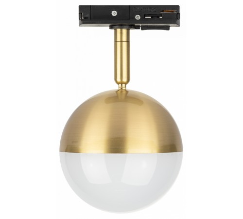 Светильник на штанге Эра TR42-GX53 BS