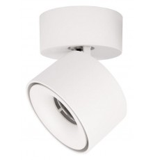 Спот Loft it 10323/A White Focus